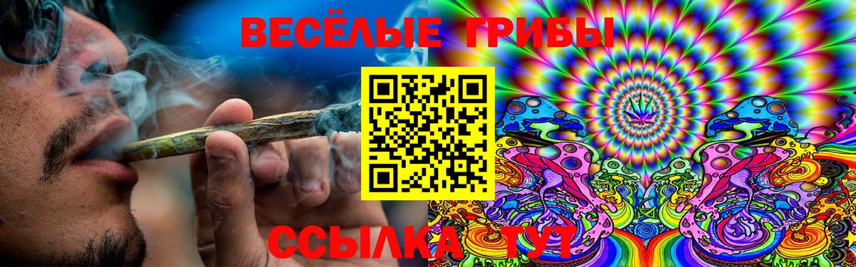Галлюциногенные грибы Psilocybe  Псилоцибиновые грибы GOLDEN TEACHER  Узловая  Вход с VPN 